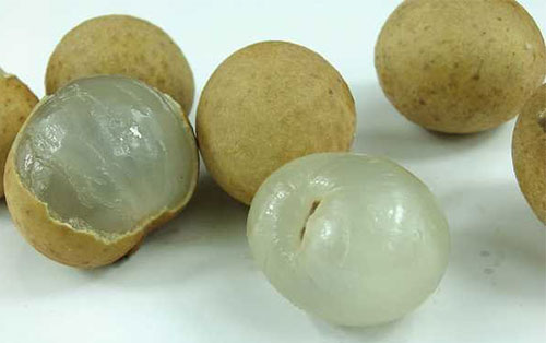 ������Ĺ�Ч������ ʳ����������ʲô����